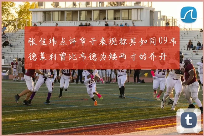 张佳玮点评华子表现称其如同09韦德莱利曾比韦德为矮两寸的乔丹