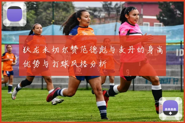 狄龙米切尔赞范德彪与麦丹的身高优势与打球风格分析